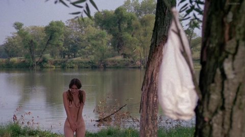 Monica Gayle - Nude Scenes in Nashville Girl (1976)