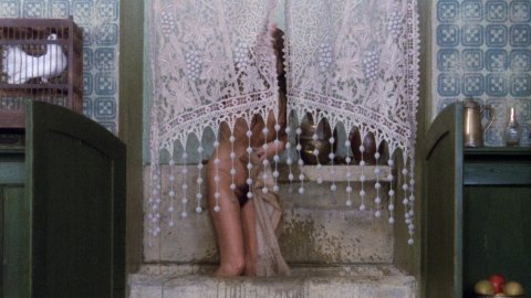 Ligia Branice - Nude Scenes in Blanche (1972)