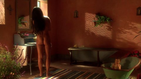 Lisa Comshaw, Jo Champa - Nude Scenes in Don Juan DeMarco (1995)