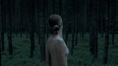 Susanne Wuest - Nude Scenes in Goodnight Mommy (2014)