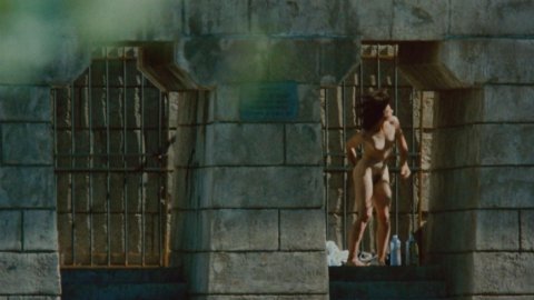 Juliette Binoche - Nude Scenes in The Lovers on the Bridge (1991)