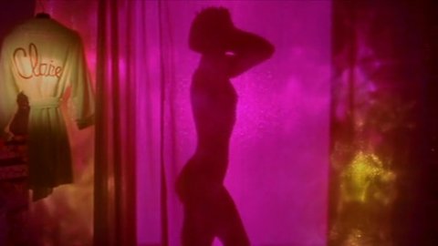 Michele Laroque - Nude Scenes in Serial Lover (1998)