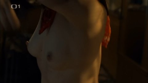 Tatiana Vilhelmova - Nude Scenes in Nevinné lži s02e03 (2014)