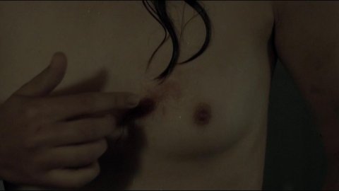 Sonia Suhl - Nude Scenes in When Animals Dream (2014)